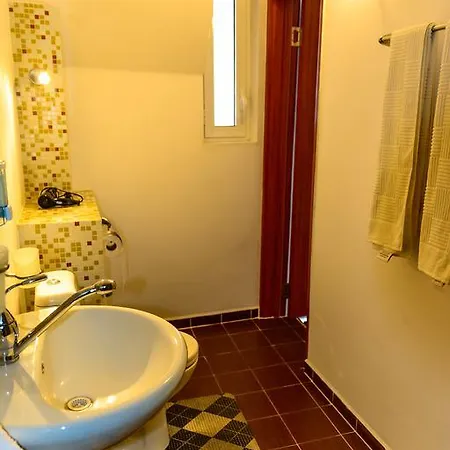 Leonardo Da Vinci * 플로브디프